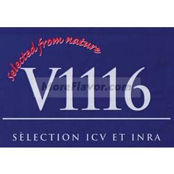Dry Wine Yeast - K1-V1116 (80 g)