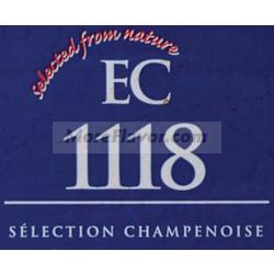 Dry Wine Yeast - EC-1118 (500 g)