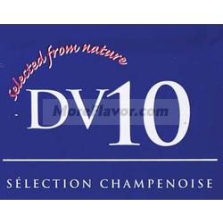 Dry Wine Yeast - DV10 (80 g)