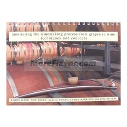 Monitoring the Winemaking Process from Grapes to Wine: Techniques and Concepts