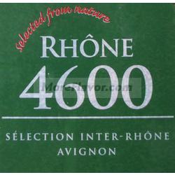 Dry Wine Yeast - Rhone 4600 (500 g)