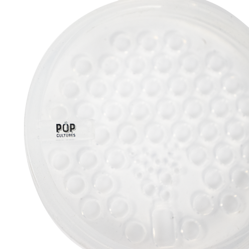 Pop Cultures | Food Fermentation Screen